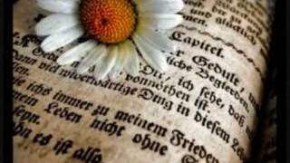 Sei Bellissima Loredana Bertè