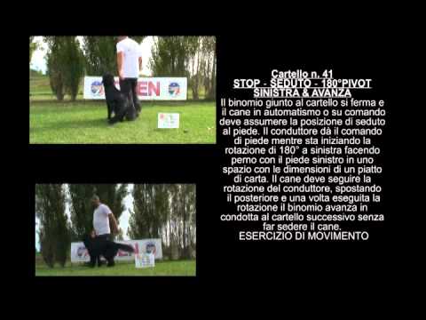 Rally Obedience CSEN - I Cartelli di Grado 2