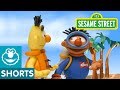 Sesame Street Deep Sea Bert And Ernie S Great Adventures