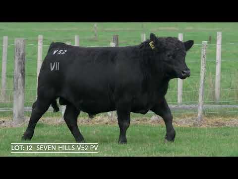 Lot 12  SEVEN HILLS V52 PV