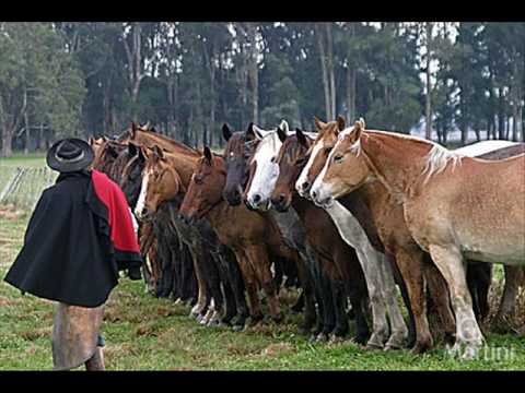 Retrato Gauchesco Cesar Oliveira Rogerio melo