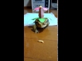 https://www.youtube.com/watch?v=kCFdahDfe_s