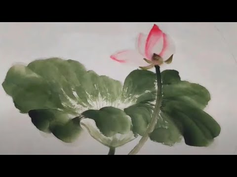 畫荷花