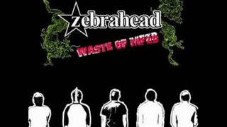 09-zebrahead-tiiming_is_everything
