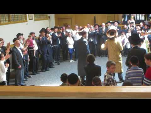 Rabbi Dancing Hachnasas Sefer Torah CBJ 2018