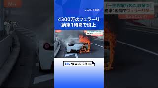 Video thumbnail image