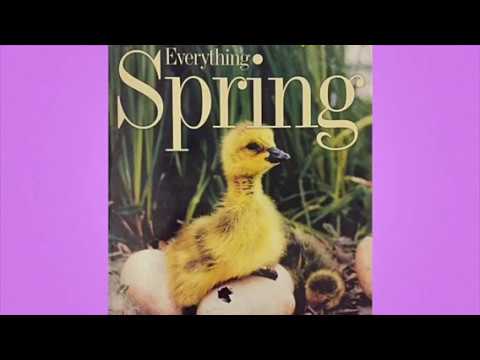 National Geographic Kids: “Everything Spring” by Jill Esbaum