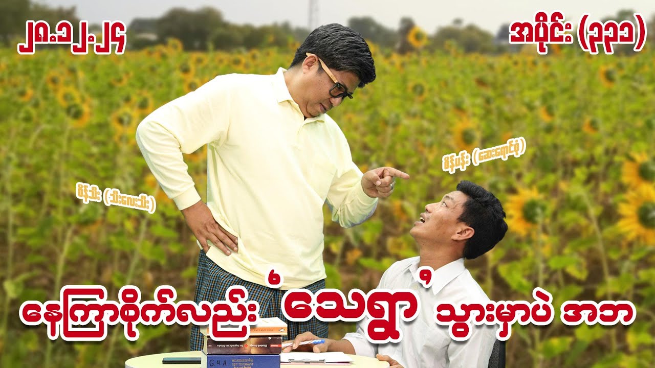 နေကြာစိုက်လည်း သေရွာသွားမှာပဲ အဘ (331) (28.12.24) #seinthee #revolution #စိန်သီး #myanmar
