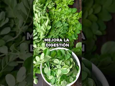 The Best Benefits of Moringa