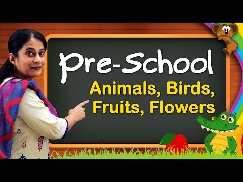 , title : 'Pre School Learning For Kids | Animals, Birds, Animal Sounds, Fruits, Flowers, Vegetables'