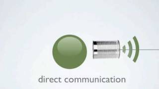 preview picture of video 'Cultural Dimension: direct versus indirect communication style'