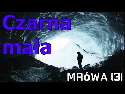 Czarna mała - fantastyka, audiobook (cykl mrówa)