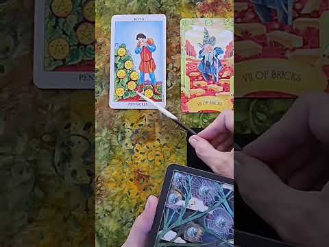 #sevenofpentacles #spider #evaluation #assessment #adjustments