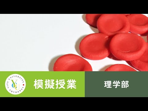 横浜市立大学 ONLINE オープンキャンパス 2021 | 模擬授業 | 理学部：免疫システムを回避する肝臓移植の方法