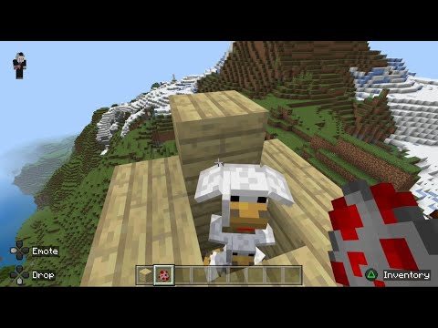 building a chicken box in minecraft (very scary)