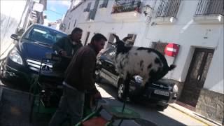 preview picture of video 'El Número de la Cabra. GAUCIN'
