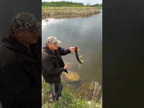 Epic 5 Hours Of Fishing.( PB Broken)
