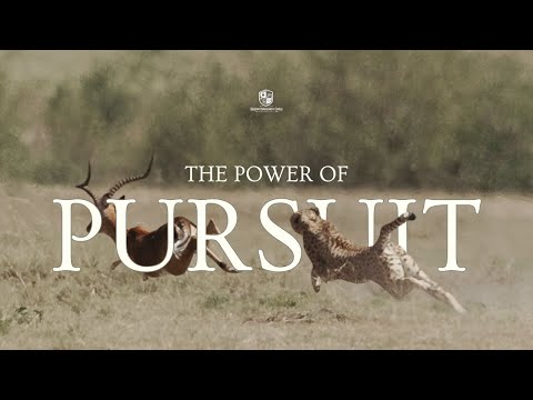 Kingdom School: The Power Of Pursuit