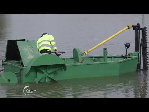 Uzgoj ribe u Backom Monostoru - U nasem ataru 813