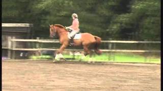 Dressage Anywhere   August