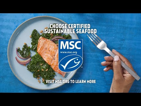 Together for a Big Blue Future - Certified Sustainable Seafood