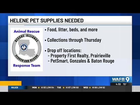 Pet food, supplies donations sought for animals displaced by hurricanes