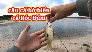 Kinh nghiệm câu cá biển gần bờ cho người mới