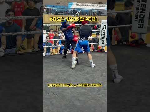 조영호선수 프로복서 스파링 #카이안복싱 #boxing #boxingtraining #복싱 #이관장 #조영호 #아마복싱 #프로복싱 #국가대표 #우석대 #kyanboxing