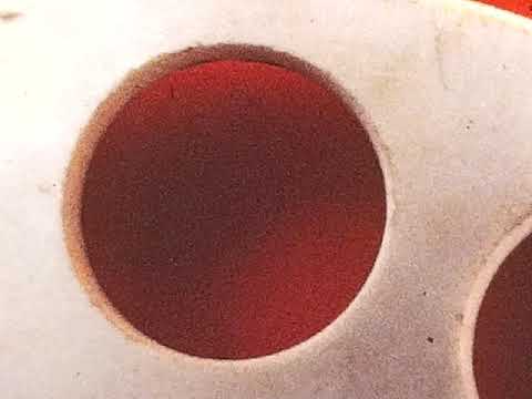 Flower, Moi Nafi Dam