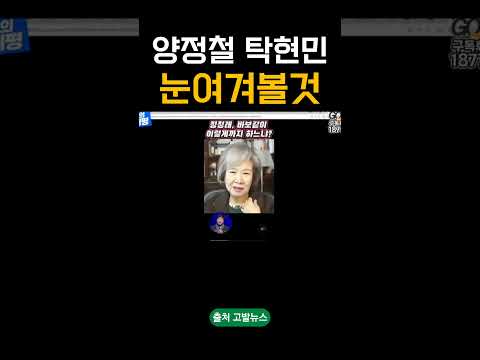 손혜원의 의심. 정청래한테 양정철이?