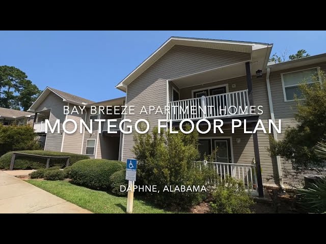 Video 1