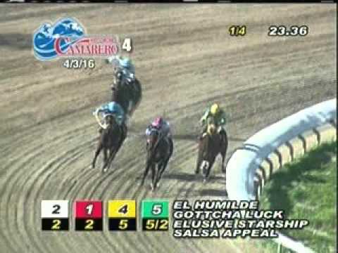 Carrera 4 3/abril/2016 (El Humilde / Nashela | Empate)
