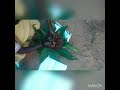 Kattu Manjal Copper Test In Black Manchal