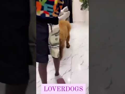 ZINOLEESKY AND NAIRA MARLEY CHILLING OUTSIDE