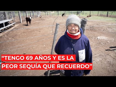 "Tengo más de 60 años y nunca vi algo así": el drama de la sequía, según una vecina de Fortín Olmos