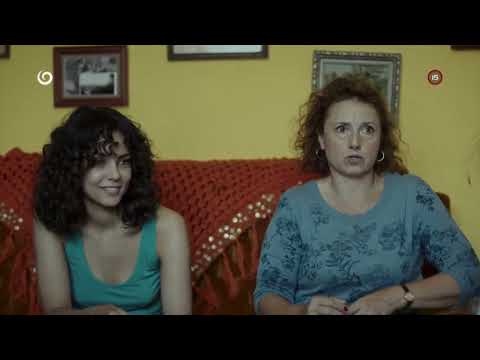 Rómsky temperament (IVETA)