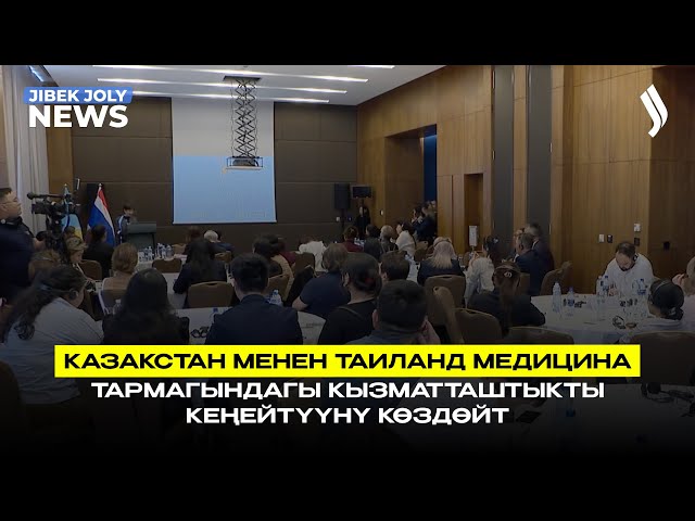Казакстан менен Таиланд медицина тармагындагы кызматташтыкты кеңейтүүнү көздөйт