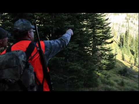 Swan Mountain Hunting