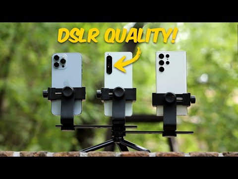 Sony Xperia 1 IV vs iPhone 13 Pro Max vs Galaxy S22 Ultra! Camera Comparison Test! | VERSUS