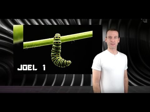 Joel Chapter 1 Summary and What God Wants From Us