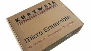 Video thumbnail for KURZWEIL Micro Ensemble ME-1 (2002) Sound Module Part 1 by Nacho Marty Meyer
