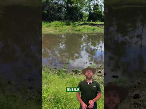 Sítio á venda em Tabaporã - Mato Grosso