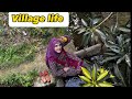 Village Life Naintara Official Village Vlog Naintaraofficial