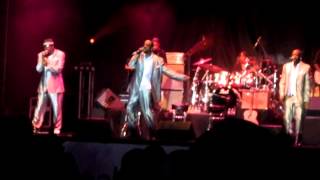 Stone Cold Gentleman