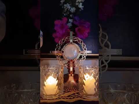 Adoracion Al Santisimo Sagramento del Altar con el Padre Fabian Esteban Oliva. 24/09/26