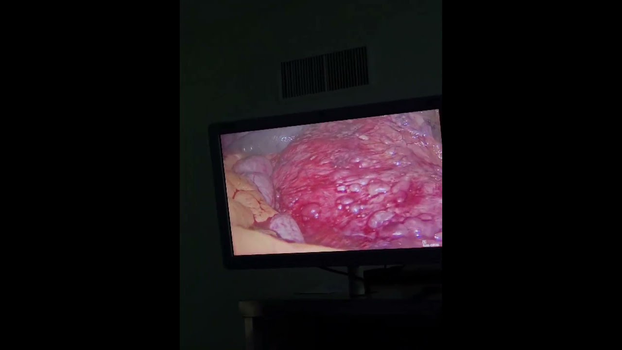 Lázaro Sánchez Vicuña-17