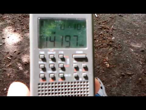 I'm listening to the R7DN with the tecsun 365 in the field