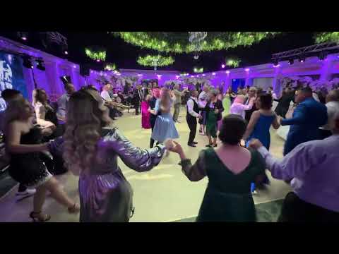 Feliz Band Botosani - Muzica POPULARA | Formatie LIVE