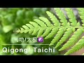 Qigong/Taichi Music 2022