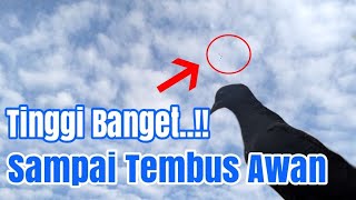 Download lagu High Flying Pigeons Translucent Clouds mp3